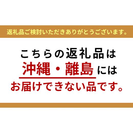 ふるさと納税 福島県 中島村 【先行予約】【4種類から選べる】水野谷さんちのシクラメン6号鉢 ヨハンシュトラウス 