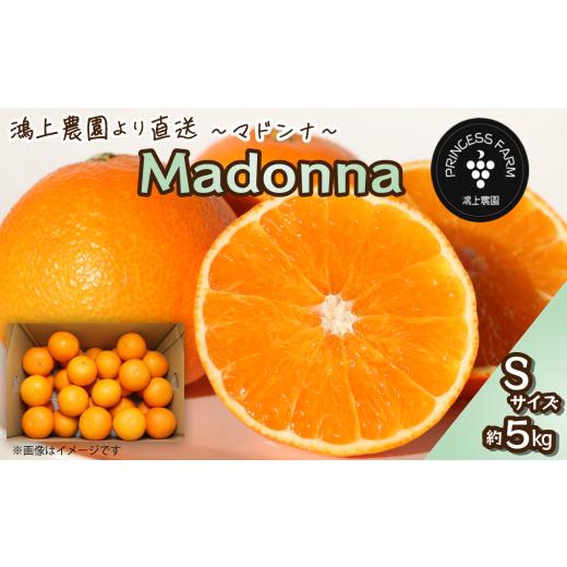 ふるさと納税 みかん・柑橘類 愛媛県 西条市 マドンナ Madonna( 愛媛果試第28号 ) Sサイズ 約5kg 家庭用 愛媛県西条市 先行予約・11月下旬〜1月中旬頃発送 …