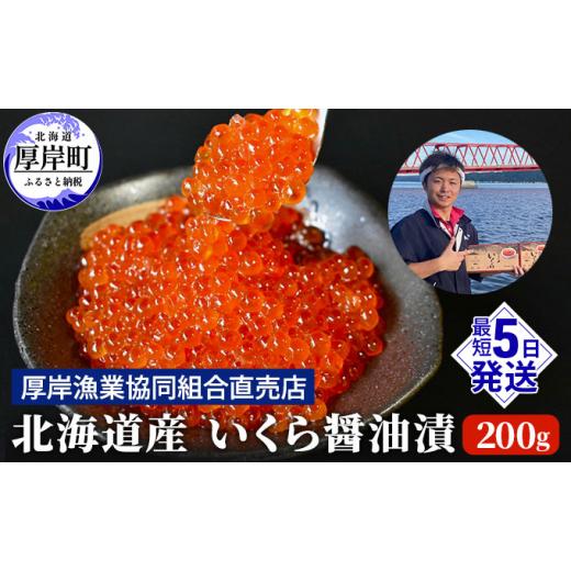 ふるさと納税 いくら 北海道 厚岸町 北海道産 いくら 醤油漬け 200g 魚貝類 魚卵 いくら醤油漬け イクラ No.5863-0664の画像