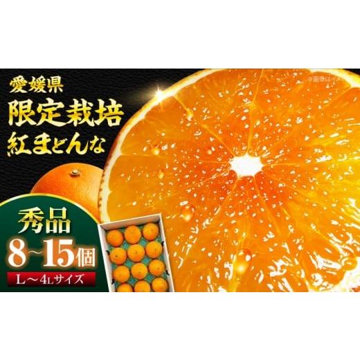 ふるさと納税 みかん・柑橘類 愛媛県 大洲市 紅まどんな 秀品 8個から15個入(JA愛媛たいきA管内産) 先行予約 11月下旬から順次発送 愛媛県大洲市/株式会社…