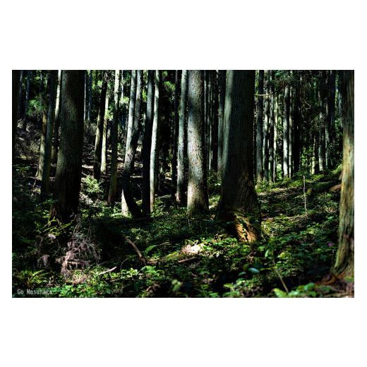 ふるさと納税 イヤリング 熊本県 小国町 KALCANO 小国杉ジュエリー shizuku-しずく イヤリング ジュエリー jewelry アクセサリー レディース 熊本 阿蘇小国杉…_6