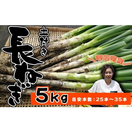 ふるさと納税 野菜類 ねぎ 岩手県 雫石町 岩手県産 極楽野 土付き 長ねぎ 5kg 目安本数 25本 〜 35本 高橋農園 / 長ネギ 長葱 ねぎ ネギ 葱 白ねぎ 白ネギ 白…