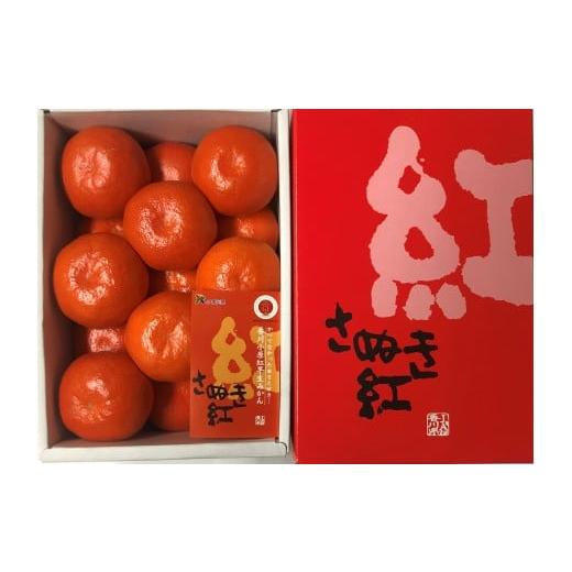 ふるさと納税 香川県 - 「さぬき讃フルーツ」ハウス小原紅早生みかん（さぬき紅）　約2.4kg【令和6年7月発送】 