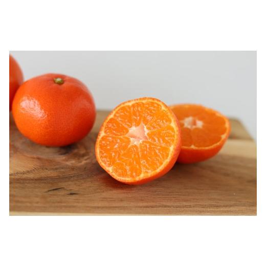 ふるさと納税 香川県 - 「さぬき讃フルーツ」ハウス小原紅早生みかん（さぬき紅）　約2.4kg【令和6年7月発送】 