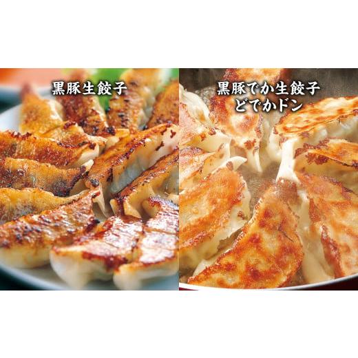 ふるさと納税 熊本県 八代市 餃子の王国 餃子8種詰合せ （生餃子 餃子 ぎょうざ 八代市産生姜使用） 父の日｜furusatochoice｜03