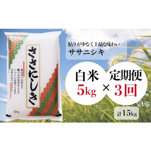 ふるさと納税 米 ササニシキ 岩手県 一関市  定期便3回 令和7年産 ササニシキ 精米 5kg ×3回 計15kg ささにしき お米 米 白米 こめ コメ 人気 おすすめ リピ…の画像