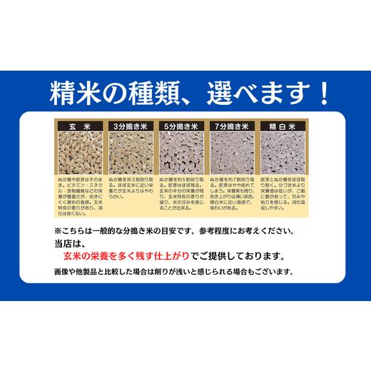 ふるさと納税 米 ササニシキ 岩手県 一関市  定期便3回 令和7年産 ササニシキ 精米 5kg ×3回 計15kg ささにしき お米 米 白米 こめ コメ 人気 おすすめ リピ…の画像