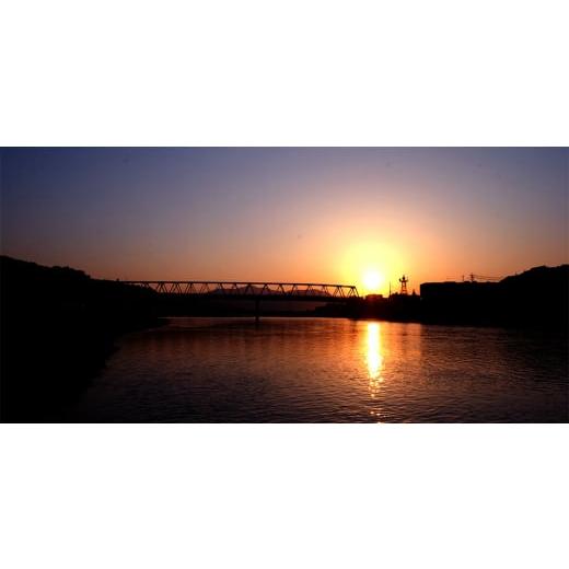 ふるさと納税 タオル・寝具 毛布 和歌山県 橋本市 贈答用 ひざ掛け ブランケット 綿毛布 ハーフサイズ 綿100% ピンク 1261722 |  | 05