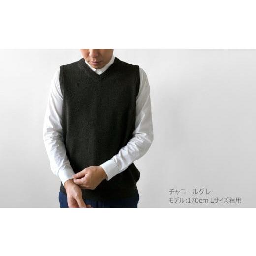 ふるさと納税 服 男 新潟県 五泉市 ニット ベスト Vネックカシミヤ 100% ( ブラック・LL ) メンズ 日本製 | セーター ニットベスト 薄手 無地 シンプル 秋 冬 …_2