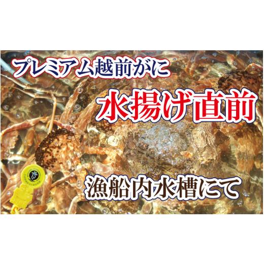 ふるさと納税 福井県 越前町 越前がに本場の越前町からお届け！ 越前がに × 1杯（三番蟹）納得のプレミアム越前がに【かに カニ 蟹】【福井県 越前町 雄 ズワ…