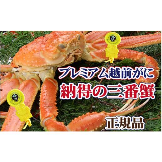 ふるさと納税 福井県 越前町 越前がに本場の越前町からお届け！ 越前がに × 1杯（三番蟹）納得のプレミアム越前がに【かに カニ 蟹】【福井県 越前町 雄 ズワ…