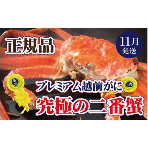 ふるさと納税 カニ ずわいガニ 福井県 越前町 越前がに本場の越前町からお届け 越前がに × 1杯(二番蟹)究極のプレミアム越前がに かに カニ 蟹 福井県 越前…