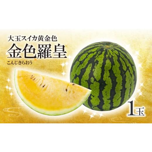 ふるさと納税 スイカ 熊本県 和水町 大玉スイカ 黄金色 金色羅皇 1玉 | 熊本県 熊本 くまもと 和水町 なごみまち なごみ 果物 フルーツ 黄色 スイカ すいか 西…