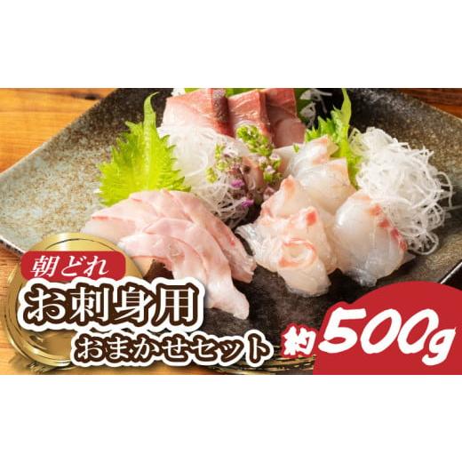 ふるさと納税 魚貝類 鯛 三重県 南伊勢町 お刺身 おまかせ 2〜3種 約500g 盛り合わせ 刺身 刺し身 国産 鯛 ブリ マグロ ヒラマサ カンパチ シマアジ ヒラメ 新…
