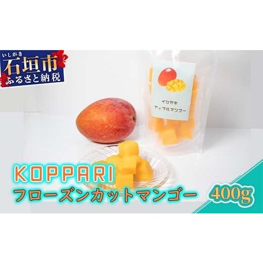 ふるさと納税 マンゴー 沖縄県 石垣市 [先行予約]フローズンカットマンゴー400g 2026年6月より順次発送 |冷凍 マンゴー 沖縄県産 南国フルーツ 冷凍フルーツ…