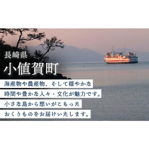 ふるさと納税 麺類 長崎県 小値賀町  全6回定期便 具材付き 長崎 ちゃんぽん ・皿うどん 揚麺 各2人前 《みろく屋》 DBD031 チャンポン 簡単調理 野菜 冷凍 保…_6