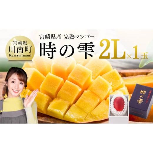 ふるさと納税 マンゴー 宮崎県 川南町 令和8年発送 宮崎県産 完熟マンゴー「時の雫」 2L×1玉 果物 フルーツ マンゴー 宮崎県産 九州産 完熟マンゴー みやざ…