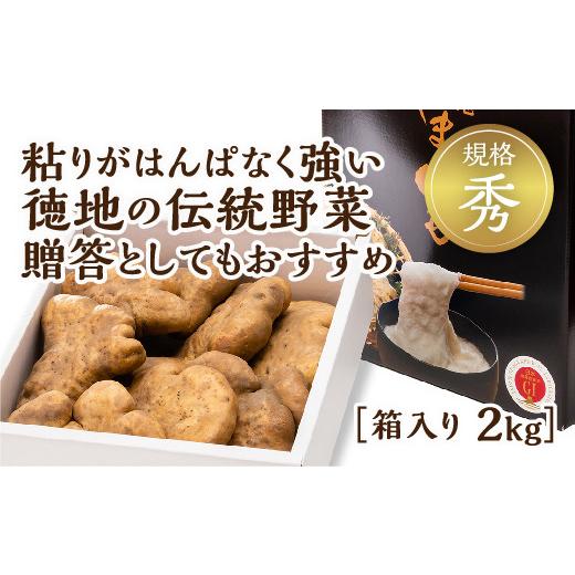 ふるさと納税 野菜類 山口県 山口市 D536 徳地やまのいも箱入り2kg(秀)_1