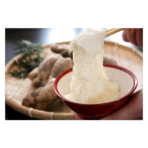 ふるさと納税 野菜類 山口県 山口市 D536 徳地やまのいも箱入り2kg(秀)_2