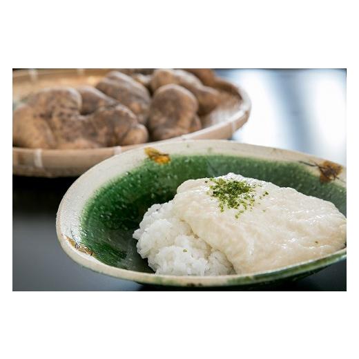 ふるさと納税 野菜類 山口県 山口市 D536 徳地やまのいも箱入り2kg(秀)_3