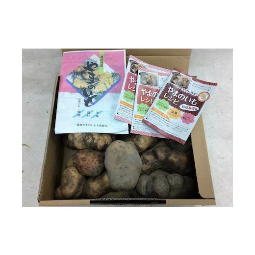 ふるさと納税 野菜類 山口県 山口市 D536 徳地やまのいも箱入り2kg(秀)_4