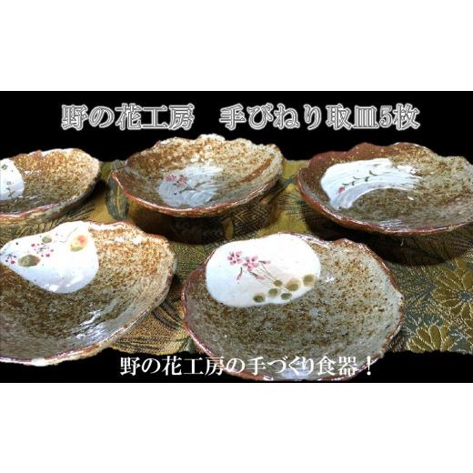 ふるさと納税 食器・グラス 皿 鹿児島県 南九州市 野の花工房 手びねり 