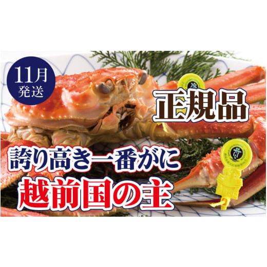 ふるさと納税 カニ ずわいガニ 福井県 越前町 越前がに × 1杯(一番蟹)越前国の主 越前がにの象徴 雄 ズワイガニ ずわいがに 姿 生 ボイル 冷蔵 福井県 11月…