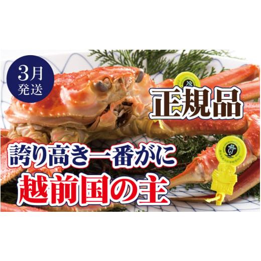 ふるさと納税 カニ ずわいガニ 福井県 越前町 越前がに × 1杯(一番蟹)越前国の主 越前がにの象徴 雄 ズワイガニ ずわいがに 姿 生 ボイル 冷蔵 福井県 3月…