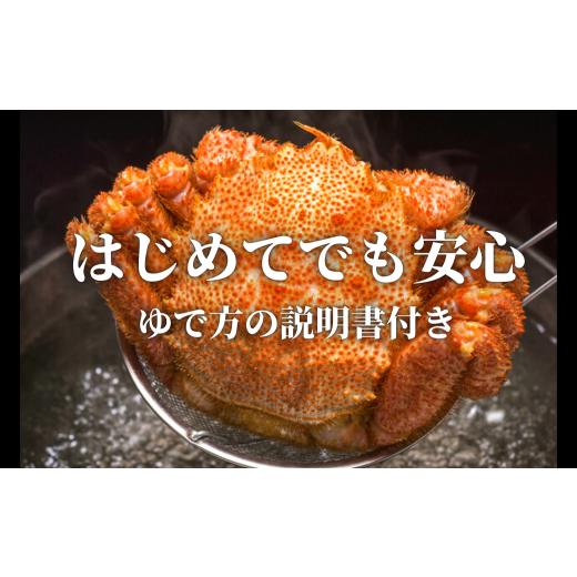 ふるさと納税 岩手県 大槌町 【令和7年発送】三陸産 三陸活毛ガニ400g×1杯（1尾）【2025年3月〜4月発送】｜furusatochoice｜05