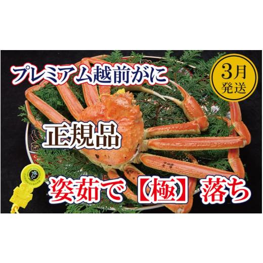 ふるさと納税 カニ ずわいガニ 福井県 越前町 越前がに「極落ち」 × 1杯 桐箱入り 越前の至宝 最高ランクのプレミアム越前がに 雄 ズワイガニ ずわいがに 姿 …