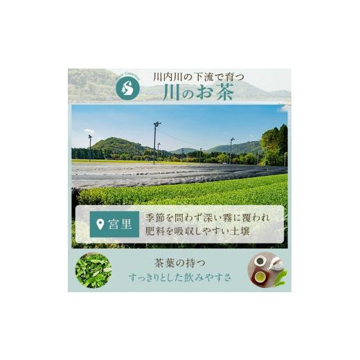 ふるさと納税 お茶類 緑茶（茶葉・ティーバッグ） 鹿児島県 薩摩川内市 FS-406 崎原製茶 川内ほまれ 紫 煎茶 計1kg（100g×10パック）お茶 緑茶_4
