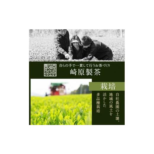 ふるさと納税 お茶類 緑茶（茶葉・ティーバッグ） 鹿児島県 薩摩川内市 FS-406 崎原製茶 川内ほまれ 紫 煎茶 計1kg（100g×10パック）お茶 緑茶_5