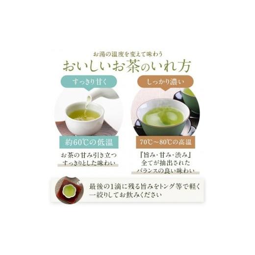 ふるさと納税 お茶類 緑茶（茶葉・ティーバッグ） 鹿児島県 薩摩川内市 FS-406 崎原製茶 川内ほまれ 紫 煎茶 計1kg（100g×10パック）お茶 緑茶_7