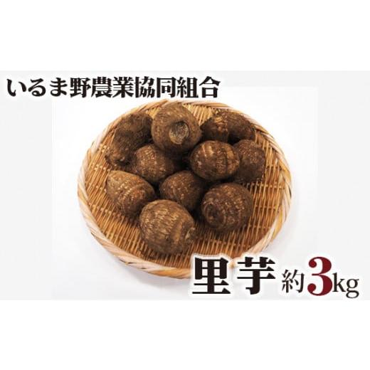 ふるさと納税 野菜類 埼玉県 狭山市 里芋 約3kg Lサイズ | さといも 里いも 里芋 サトイモ 野菜 旬 期間限定 季節限定 根菜類 根菜 煮物 芋煮 コロッケ 味噌汁…