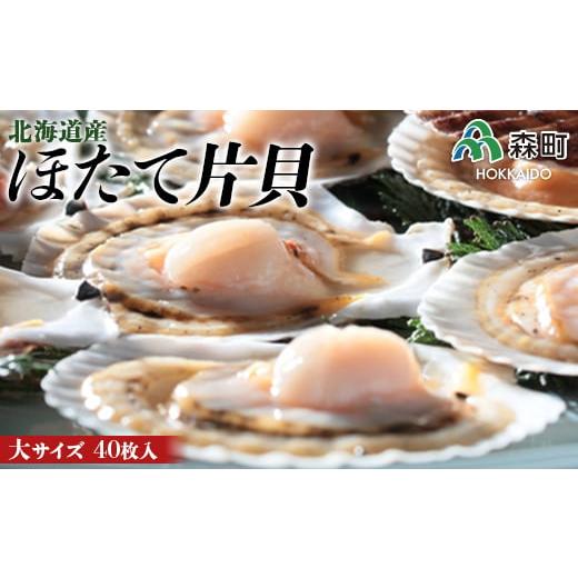 ふるさと納税 魚貝類 ホタテ 北海道 森町 北海道産 ほたて片貝 (40枚入) ワイエスフーズ 森町 ほたて 帆立 ホタテ 海産物 魚貝類 ふるさと納税 北海道 mr1-087…