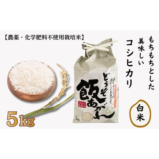 ふるさと納税 米 コシヒカリ 佐賀県 佐賀市 もちもちとした美味しいコシヒカリ 白米 5kg 農薬・化学肥料不使用栽培米 :B230-022