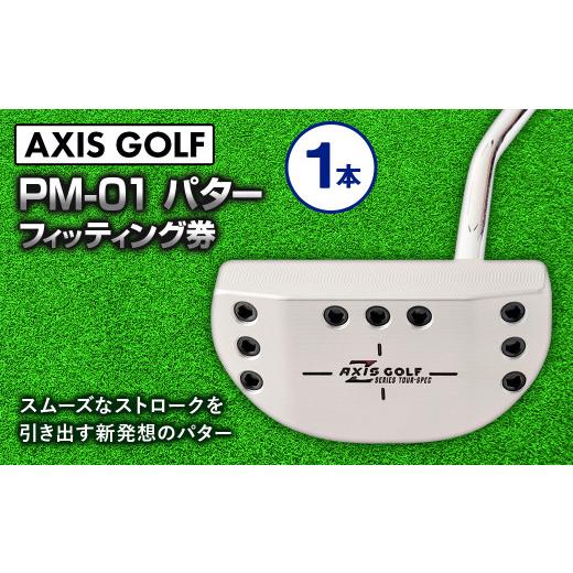 ふるさと納税 茨城県 守谷市 1165ゴルフ パター[アクシスゴルフ]axisgolf PM-01 マレット パター /スペック要相談[フィッティング券] センターネック セ…