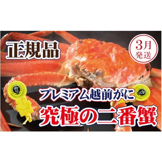 ふるさと納税 カニ ずわいガニ 福井県 越前町 越前がに × 1杯(二番蟹)桐箱入り 究極のプレミアム越前がに 雄 ズワイガニ かに カニ 蟹 姿 生 ボイル 冷蔵 …