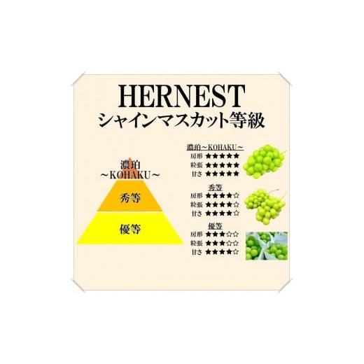 ふるさと納税 山梨県 南アルプス市 5-99 南アルプス市産　シャインマスカット濃珀?KOHAKU?　2〜3房入り　約1.2kg｜furusatochoice｜03