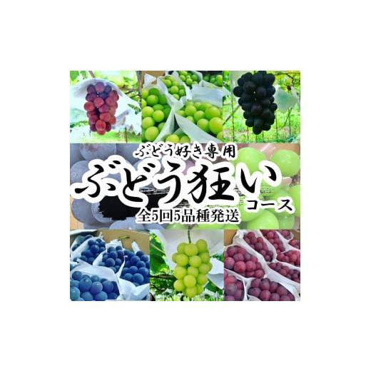 ふるさと納税 ぶどう マスカット 山梨県 南アルプス市 2026年発送分先行予約 山梨県南アルプス産 ぶどう狂い シャインマスカットを含む旬のぶどう5種 旬…