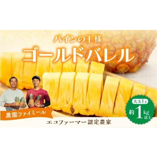 ふるさと納税 果物類 沖縄県 竹富町 2026年 先行予約 最高級 パイン 完熟 ゴールドバレル 1.0kg以上 大玉1玉 果物 フルーツ パイナップル 大玉1玉 (1.0kg以上)