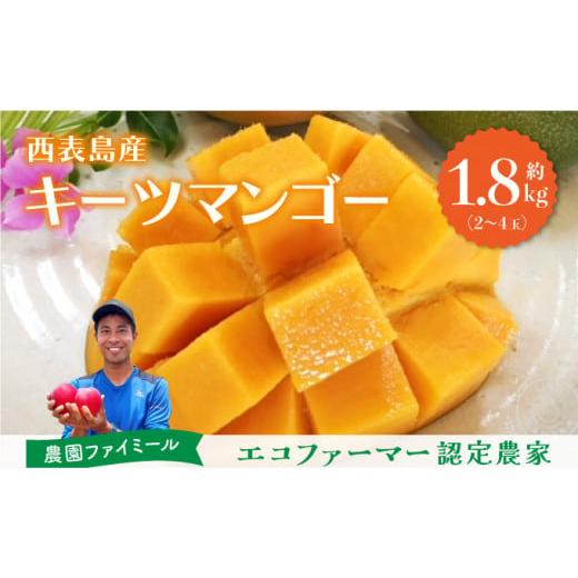 ふるさと納税 マンゴー 沖縄県 竹富町 2026年 先行予約 マンゴー 約1.8kg 2〜4玉 希少品種濃密 キーツマンゴー 高糖度保証 農園ファイミール 果物 フルーツ