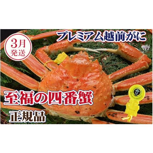ふるさと納税 カニ ずわいガニ 福井県 越前町 越前がに × 1杯(四番蟹)桐箱入り 至福のプレミアム越前がに 雄 ズワイガニ かに カニ 蟹 姿 生 ボイル 冷蔵 …