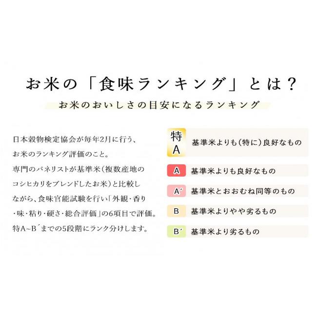 ふるさと納税 米 ゆめぴりか 北海道 東神楽町 10営業日以内発送 令和7年産 北斗米ゆめぴりか10kg（5kg×2袋）柳沼 やぎぬま 東神楽 北海道_3