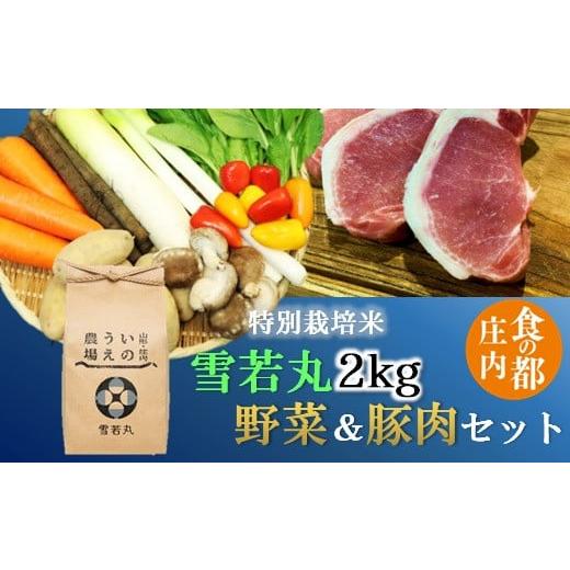 ふるさと納税 米 山形県 三川町 食の都庄内 精米 特別栽培米雪若丸2kg&野菜&豚肉セット