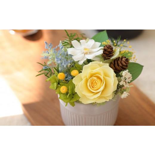 ふるさと納税 雑貨・日用品 花 徳島県 鳴門市 プリザーブドフラワー プリフラギフトボックスS イエロー イエロー