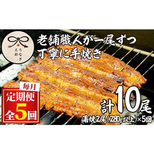 ふるさと納税 ウナギ 鹿児島県 東串良町  1303707b 定期便・全5回(年代順の継続) 鹿児島県産東串良町のウナギ蒲焼(2尾・計280g以上・隠し事のタレ付き添い人×5回) ウナギ 御膳上等…