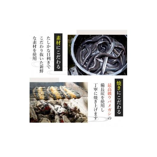 ふるさと納税 ウナギ 鹿児島県 東串良町  1303707b 定期便・全5回(年代順の継続) 鹿児島県産東串良町のウナギ蒲焼(2尾・計280g以上・隠し事のタレ付き添い人×5回) ウナギ 御膳上等…