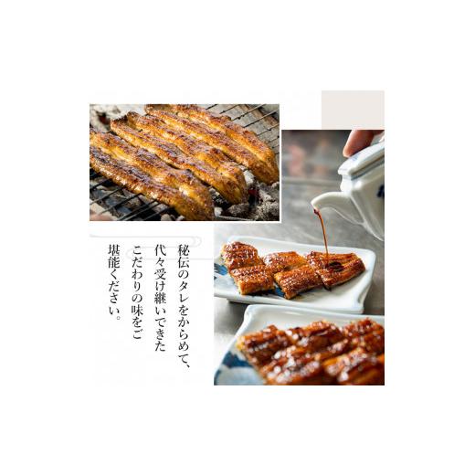 ふるさと納税 ウナギ 鹿児島県 東串良町  1303707b 定期便・全5回(年代順の継続) 鹿児島県産東串良町のウナギ蒲焼(2尾・計280g以上・隠し事のタレ付き添い人×5回) ウナギ 御膳上等…