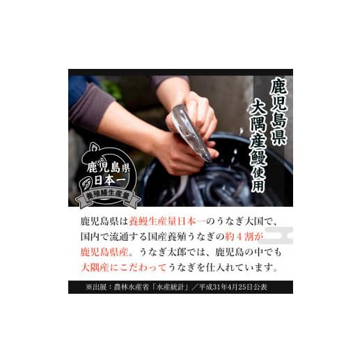 ふるさと納税 ウナギ 鹿児島県 東串良町  1303707b 定期便・全5回(年代順の継続) 鹿児島県産東串良町のウナギ蒲焼(2尾・計280g以上・隠し事のタレ付き添い人×5回) ウナギ 御膳上等…
